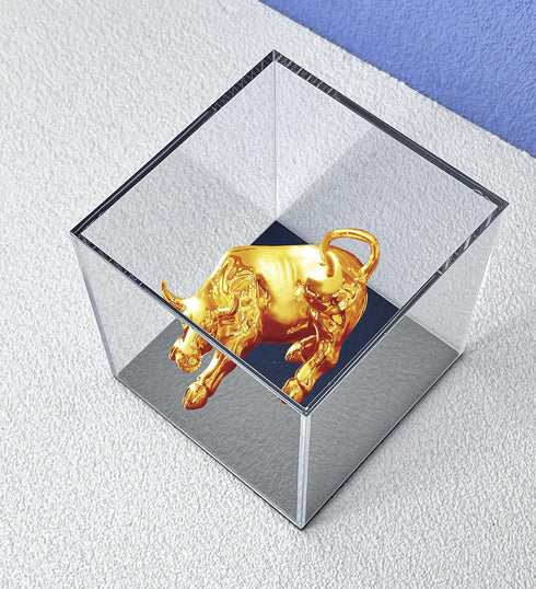 Acrylic Display Case, 4x4x4 Inch Cube with Matte Black Base, Clear Box for Softball Collectibles and Mini Figures
