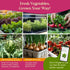 50 Pack 34,455+ Packets Seedphony Gourmet Garden Vegetable Seeds Variety - Non-GMO Heirloom Vegetables Seeds