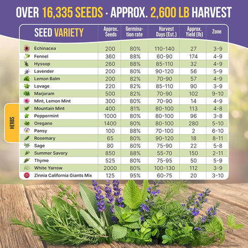 35 Pack 16,335+ Medicinal & Tea Herb Seeds Variety for Indoor & Outdoors. Non-GMO Heirloom Garden Seeds: Anise