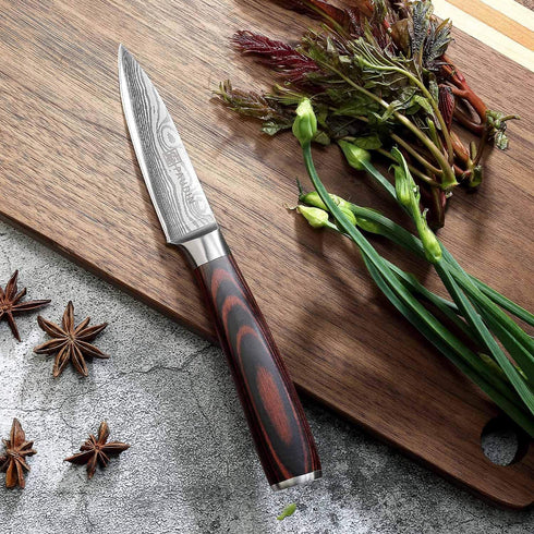 PAUDIN Paring Knife, 3.5 Inch High Carbon Stainless Steel, Ultra Sharp Small Kitchen Knife with Gift Box