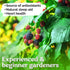 50 KVITER Black Raspberry Seeds (Rubus Occidentalis) Organic Raspberries Heirloom Seeds, Non GMO Blackcap Berries