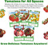 5 Sunset, Epic Gardening Tomato Lovers Seed Bundle - Juicy Varieties, Includes Brandywine, Chadwick Cherry & Tropical