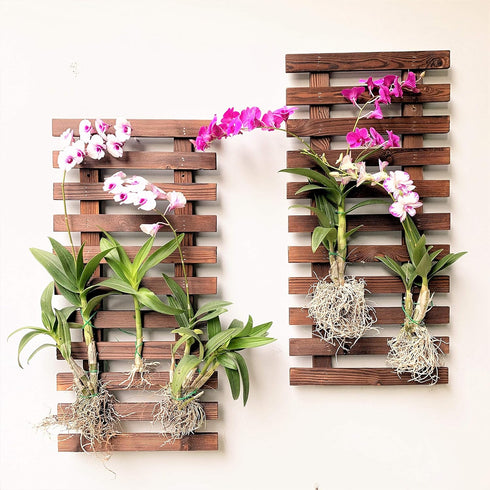 2 Pack 23.6" (60cm) ShopLaLa Wall Planter - Wooden Hanging Planter for Indoor Plants Wall Mount Plant Stand Ladder