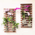 2 Pack 23.6" (60cm) ShopLaLa Wall Planter - Wooden Hanging Planter for Indoor Plants Wall Mount Plant Stand Ladder