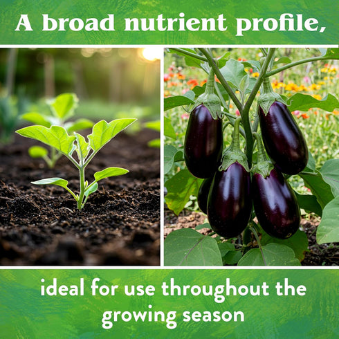 4-4-4, 1 lb Down To Earth All Natural Fertilizers Organic Vegetable Garden - Plant Food for Vegetables, Herbs, Greens