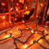 mimigogo Wire,13ft 50 Bulb Orange Halloween Tree Lights with Green Incandescent Waterproof Fairy LightsPlug in Mini