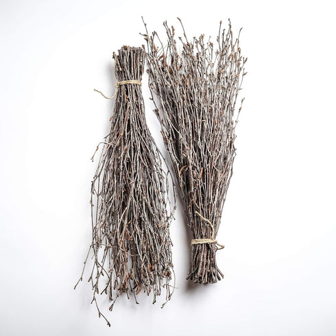 100 Pcs Birch Twigs for Vase Decoration - Set of 2 Bundles of Branches, 100% Natural Sticks, 17 Inches