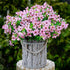 Artificial Flowers for Outdoors, 16 Bundles Faux Boxwood Greenery, No Fade Plastic Shrubs for Home Garden Decor (Pink)