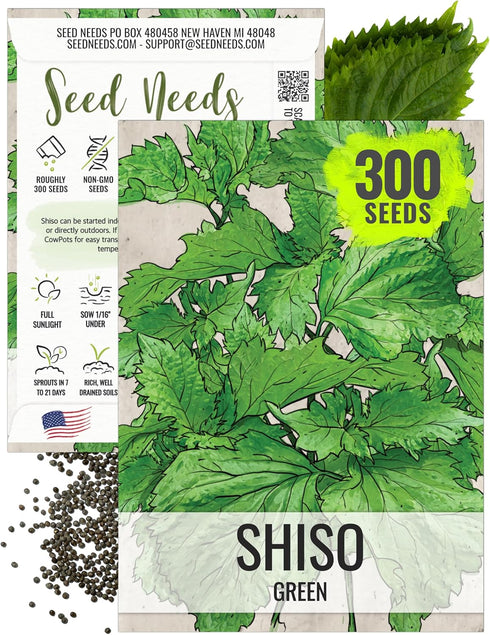 Seed Needs Shiso Seeds for Planting Green Perilla Herbs - Non-GMO Heirloom