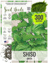 Seed Needs Shiso Seeds for Planting Green Perilla Herbs - Non-GMO Heirloom