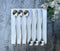 6 Piece Long Handle Spoon Set, 8.5 Inch Ice Tea Spoon, Premium 18/10 Stainless Steel