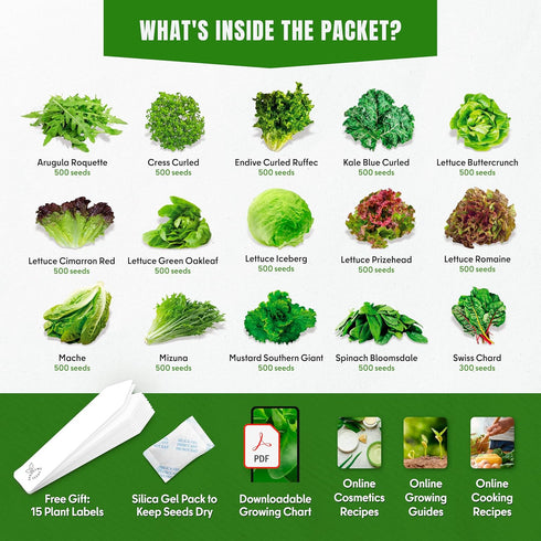 Pack 15 7300+ Lettuce & Salad Greens Seeds Variety Spinach, Kale, Arugula, Romaine & Iceberg Lettuce Varieties, Non-GMO