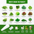Pack 15 7300+ Lettuce & Salad Greens Seeds Variety Spinach, Kale, Arugula, Romaine & Iceberg Lettuce Varieties, Non-GMO