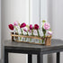 6 Beautiful Glass Flower Vase with Wooden Plant Stand & Bud Vases, Decorative Glass Bottles for Home Dcor, Dining Table