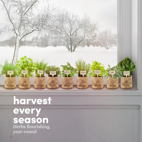 9 Planters' Choice Herb Indoor Window Garden Kit - House Plants Seeds - Best Unique Easter Gift Ideas for Women, Mom
