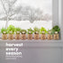 9 Planters' Choice Herb Indoor Window Garden Kit - House Plants Seeds - Best Unique Easter Gift Ideas for Women, Mom