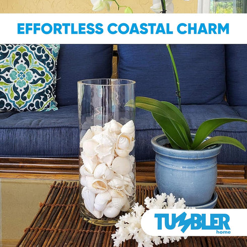 Tumbler Home Mix of White Seashells - Set Includes 1 Pound White Shells up to 3 inches for Home Decor and Crafts