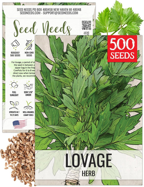 Seed Needs Lovage Seeds for Planting - Non-GMO Heirloom & Untreated Herbs