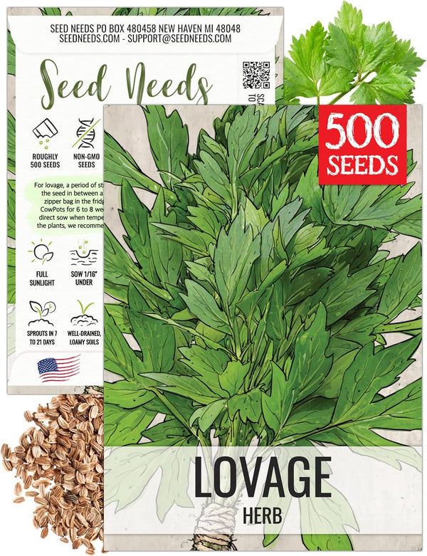 Seed Needs Lovage Seeds for Planting - Non-GMO Heirloom & Untreated Herbs