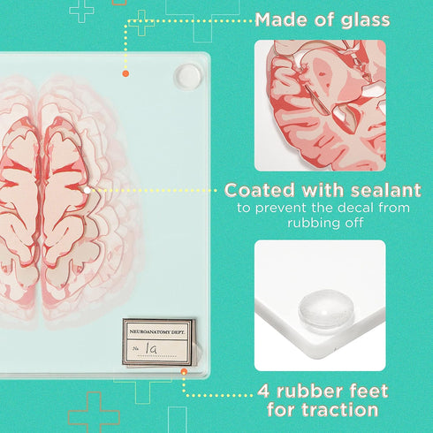 Anatomic Brain Specimen Coasters, Set of 10, Neuroscience Gifts for Medical Students