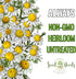 (1 Pack) Seed Needs Roman Chamomile Seeds for Planting - Non-GMO, Heirloom & Untreated - Grow a Home Grown Medicinal