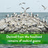 0-11-0, 5 lb Down To Earth All Natural Fertilizers Organic Seabird Guano - High Phosphorus Plant Food for Buds, Blooms