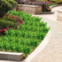Artificial Plants Flowers Faux Boxwood Shrubs 6 Pack, Lifelike Fake Greenery Foliage for Garden, Patio, Wedding, Indoor