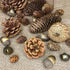 72Pcs Natural Pine Cone Set, Pinecones Acorns Ornaments for Autumn Winter Crafts, Christmas Decor, Bowl Vase Fillers