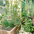 (20-Pack) Sereniseed Certified Organic Herb Seeds Non GMO, Heirloom Seed Starting Video