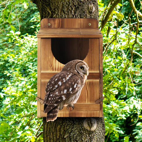 1 Set Owl House, Barn Owl Nesting Box with Bird Stand and Wood Shavings, Large Wooden Screech Nesting Box for Outside