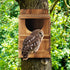 1 Set Owl House, Barn Owl Nesting Box with Bird Stand and Wood Shavings, Large Wooden Screech Nesting Box for Outside