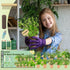 EquSym 10 Herb Window Garden Kit Indoor - Herb Seeds for Indoor & Outdoor Gardening, Seeds for Planting, Gardening Gift