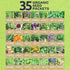 Pack 35 Packs 2026 Organic Herb Seeds Variety - Individual - Season - Basil, Cilantro, Dill, Thyme, Parsley and More!