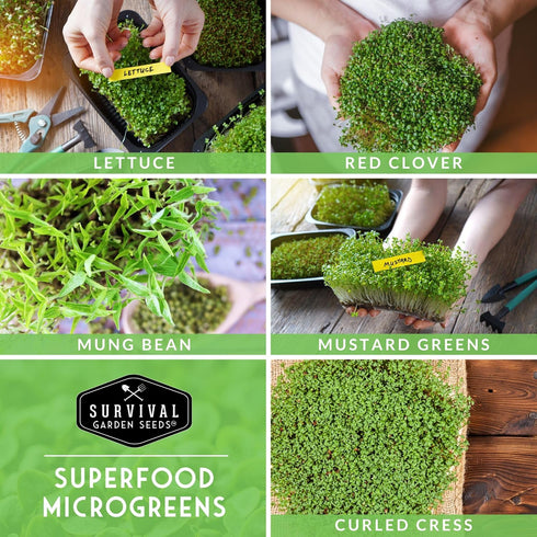 5-Variety Pack Pack Microgreens Seeds for Sprouting Mustard, Mung Bean, Curled Cress, Clover & Lettuce Seed for Indoors