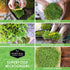 5-Variety Pack Pack Microgreens Seeds for Sprouting Mustard, Mung Bean, Curled Cress, Clover & Lettuce Seed for Indoors