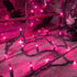 Purple Halloween Lights Outdoor, 50 Count Waterproof Fairy Lights for Holiday Decorations