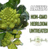 (2 Packs) Seed Needs Cauliflower Seeds for Planting Romanesco Broccoli/Cauliflowers - Non-GMO Heirloom & Untreated