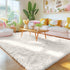 4x5.9 OLANLY Area Rugs for Living Room Bedroom, Machine Washable ft Soft Fluffy Shaggy Bedside Rug, Indoor Floor Carpet