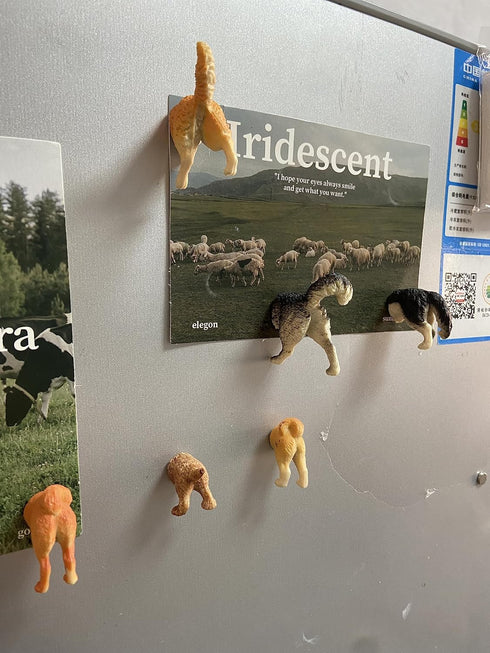 8Pcs Dog Butt Magnets, Funny Refrigerator Magnets for Home, Perfect for Adults or Kids (Dog Butts)