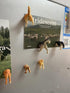 8Pcs Dog Butt Magnets, Funny Refrigerator Magnets for Home, Perfect for Adults or Kids (Dog Butts)
