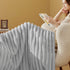 350GSM Cozy Grey60x80 Inches, Bedsure Twin Blanket for Couch - Super GentleSoft Fuzzy Fluffy Blankets for Women, Cute