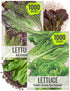Seed Needs Romaine Lettuce Seeds Variety Pack for Planting a Collection of