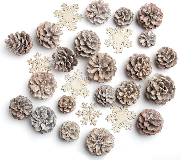 Factory Direct Craft Winter White Washed Pinecones and Snowflakes Package