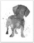 Summit Designs Dachshund Wall Art Set of 4 (8x10) Unframed Prints – Cute Dog-Themed Decor for Kids’ Rooms and Dog Lovers