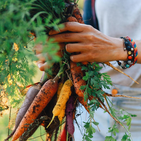 Purely Organic Products LLC 500 Organic Carrot Seeds (Rainbow Blend) - Approx Seeds - USDA Organic, Non-GMO, Open