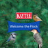 11 Kaytee Shelled Peanuts for Cardinals, Blue Jays, Woodpeckers and Other Outside Wild Birds, Pounds