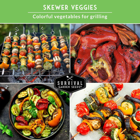 Summer Survival Garden Seeds Kabob Skewer Vegetables Collection - Large Red Cherry Tomato, Black Beauty Zucchini