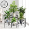 CADANI 5 Pack Metal Plant Stands for Outdoor Indoor, Anti-Rust Iron Flower
