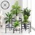 CADANI 5 Pack Metal Plant Stands for Outdoor Indoor, Anti-Rust Iron Flower
