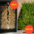 1lb Healthy Greens Wheatgrass Scratch Feed & Fodder Seed, Bag. Premium Wheat Berries, Non-GMO Wheatgrass for Backyard